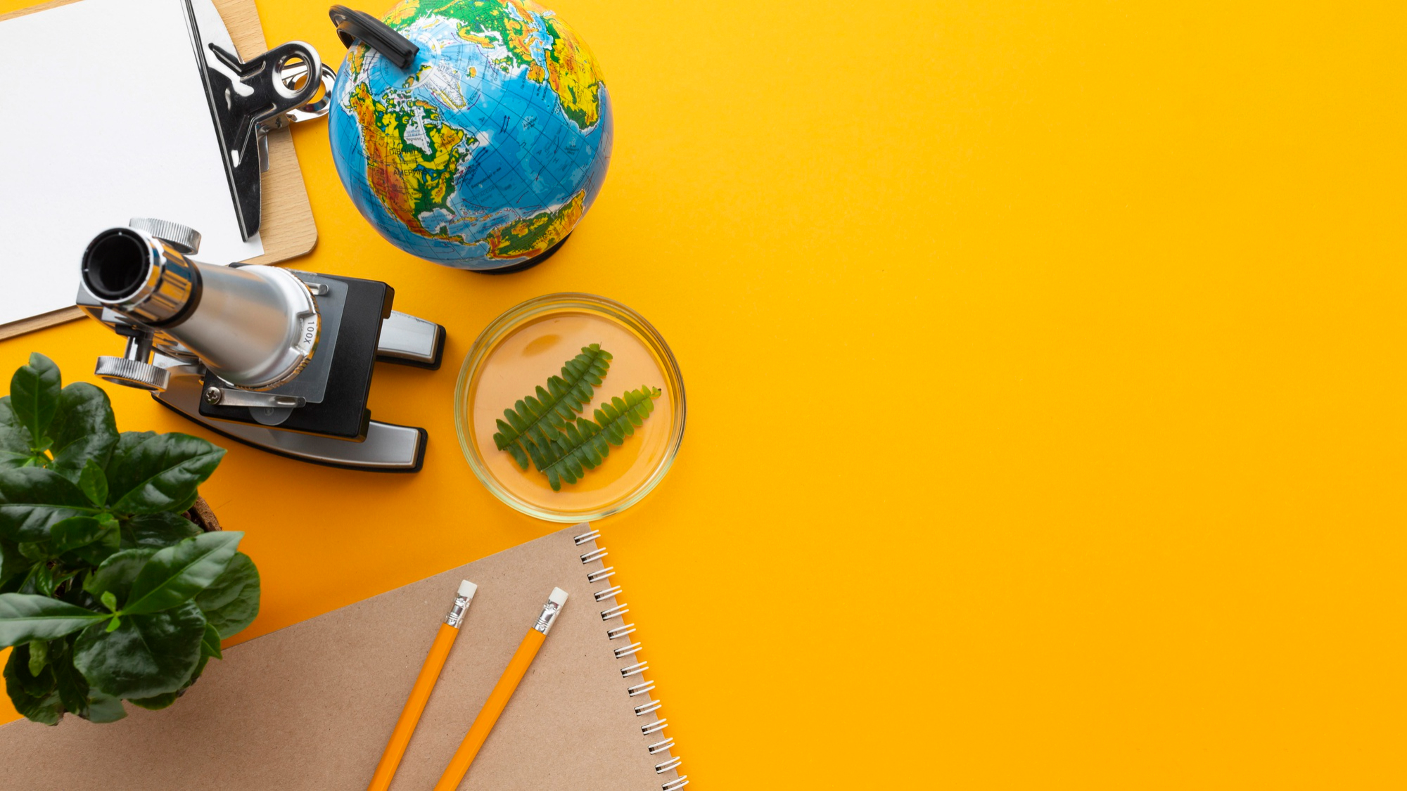 Student receiving scholarship award